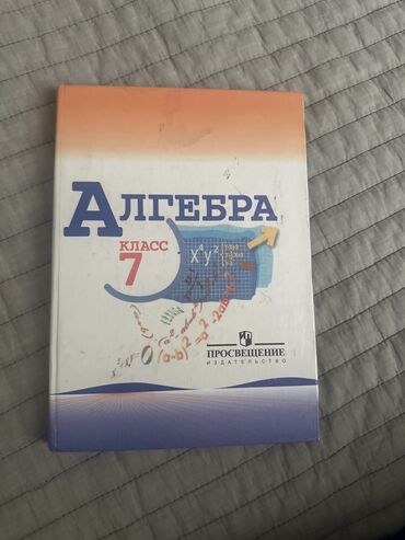 аренда зонт: Зонт, Складной, Механический, Новый, Унисекс