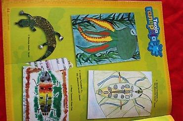 Sličice i albumi za sličice: NATIONAL GEOGRAPHIC JUNIOR 31 | National Geographic Junior broj 31 — 4