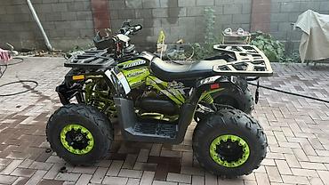 квадроцикл 200 кубиков: Детский/подростковый квадроцикл Coleman AT200 (серия Offroad) - Тип — 2