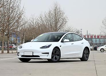 tesla model x: Şəxsi sürücü, 30 yaş, stajı 2016 il, Şəxsi nəqliyyat vasitəsi ilə — 1
