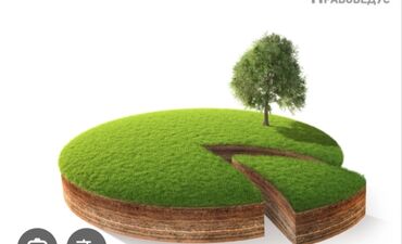 сколько стоит 25 соток земли: 10 соток, Красная книга