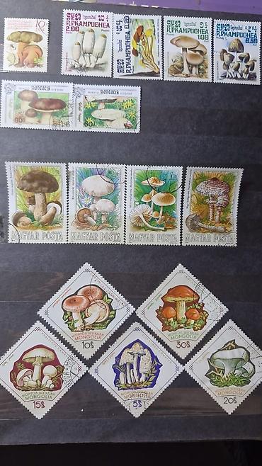 Марки: Коллекция почтовых марок с орнитологической и микологической — 2