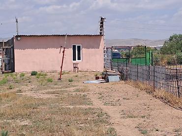 Haciqabulda ferma satılır.15 hektar.350kv.tikili.kənd tədərrüfatı