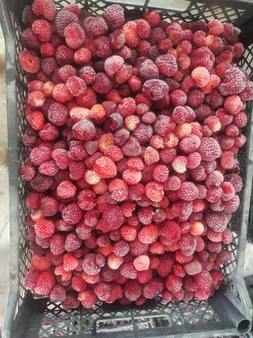 Замороженные фрукты, ягоды: Замороженные фрукты, ягоды — 3