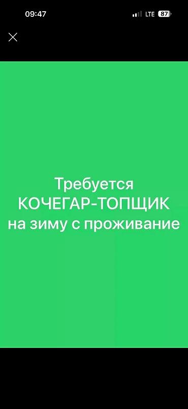 вакансии сварщиков: Требуется кочегар топщик на зиму с бесплатным проживание. Нужно топить — 1