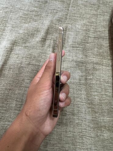 Apple iPhone: IPhone 12 Pro, Б/у, 256 ГБ, Золотой, Защитное стекло, Чехол, 100 % — 9