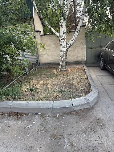 угол дрова: Бесплатно заберите дерево для топки - спил засохших деревьев с — 1