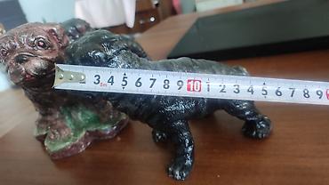 fransız bulldog: Fiqur, Gips — 3