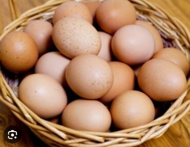 Сүт азыктары жана жумурткалар: Продаю домашние пищевые яйца (((не для инкубации))) Бишкек