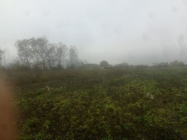 Torpaq sahələrinin satışı: 400 sot, Kənd təsərrüfatı, Maklerlər narahat etməsin — 28