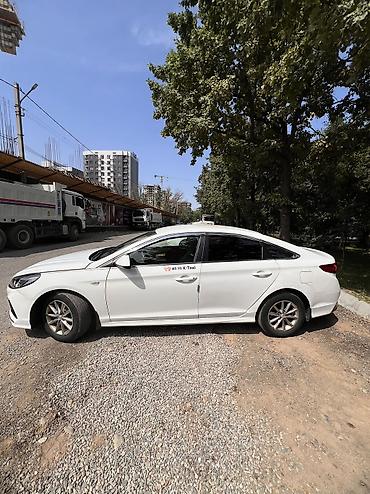 sonata dn: Hyundai Sonata: 2020 г., 2 л, Автомат, Газ, Седан — 3