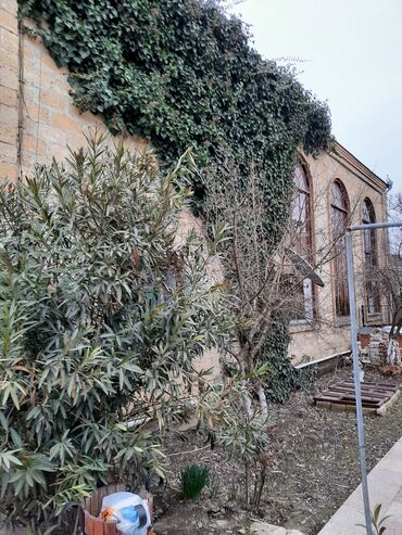 Həyət evləri və villaların satışı: 7 otaqlı, 450 kv. m, Orta təmir — 11