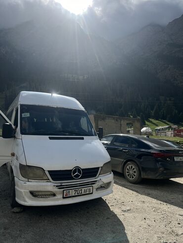 кредит машины: Mercedes-Benz Sprinter: 2006 г., 2.9 л, Механика, Дизель, Бус