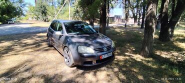 golf 3 universal: Volkswagen Golf: 2005 г., 1.9 л, Механика, Дизель, Хэтчбэк