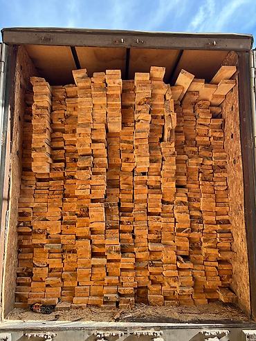 Доски: Лес — 19