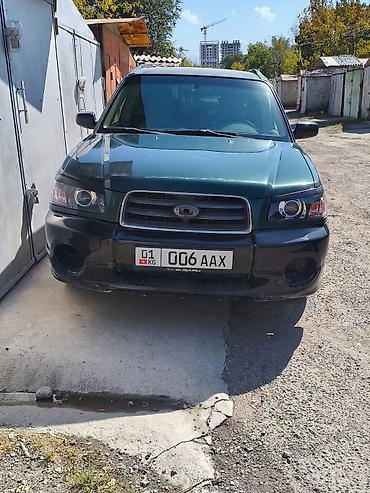 outback 2008: Subaru Forester: 2003 г., 2.5 л, Автомат, Бензин, Универсал — 1