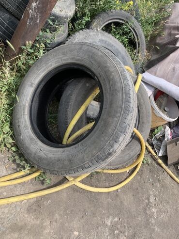 газ 53 дөңгөлөк: Шиналар 205 / 75 / R 16, Комплект, Жеңил унаалар