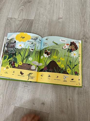 Игрушки: Детские книжки с красивейшей иллюстрацией, развивающие и — 5