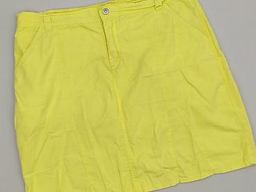plus size spódnice: Spódnica damska, rozmiar XL — 1