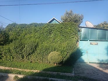 Продается уютный частный дом 🏡 с благоустроенным двором и зеленым