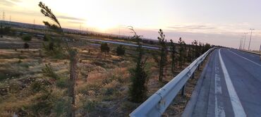 Torpaq sahələrinin satışı: 22 sot, Kənd təsərrüfatı, Mülkiyyətçi, Texniki pasport — 5