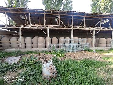 Очок: Тандыр сатабыз сапатуу тандыр Бардык размери бар Установка кылабыз — 4