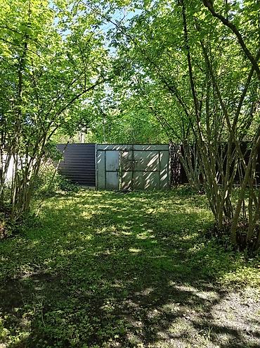 Kommersiya daşınmaz əmlakının satışı: Satılık təsərrüfat/istehsalat obyekti - Geniş qapalı istehsal/saxlama — 2