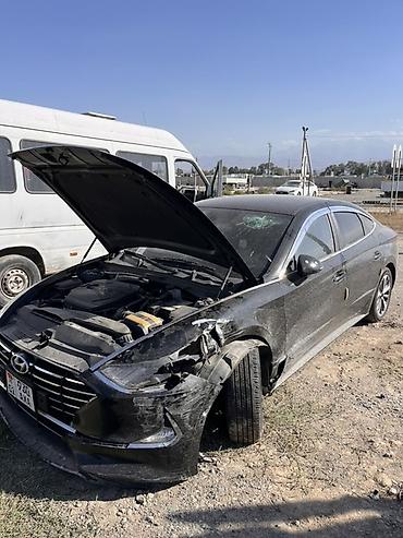 кузовные запчасти на корейские авто: Hyundai Sonata: 2019 г., 2 л, Автомат, Газ, Седан — 2