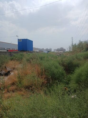 Torpaq sahələrinin satışı: 10 sot, Tikinti, Bələdiyyə — 5