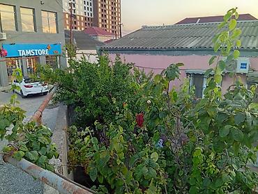 evim residence: Binəqədi qəs. 3 otaqlı, 1 kv. m, Kredit yoxdur, Orta təmir — 7