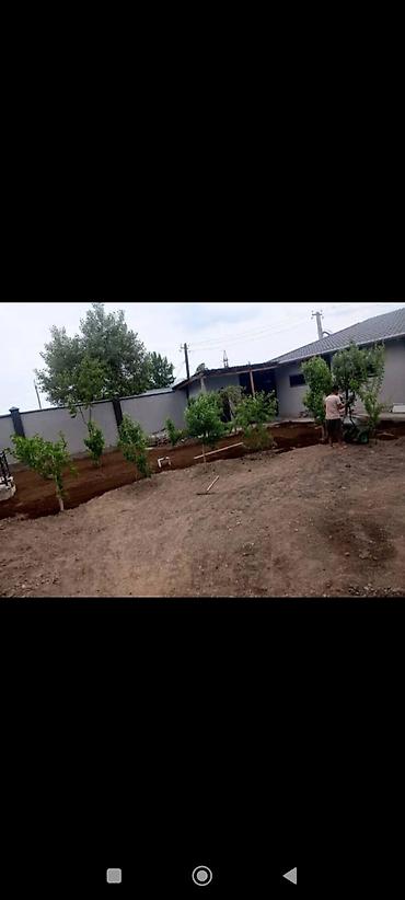 пахать огород: Ландшафтные работы и благоустройство участка. - Планировка — 2