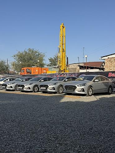 Hyundai Sonata: 2019 г., 2 л, Автомат, Бензин, Седан
