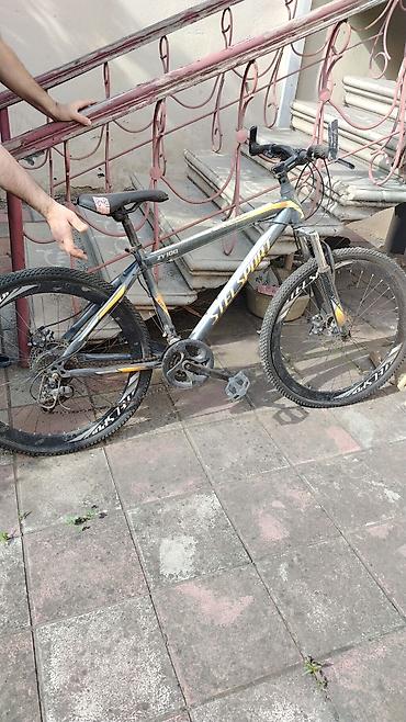 saft mtb: Stels Sport ZY100 dağ velosipedi - Çərçivə: alüminium, “STELS SPORT” — 2