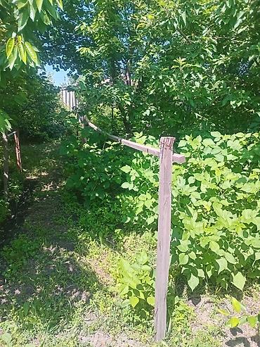 контейнерный модул: Дом в Пригородном, 5 комнат. Большой участок, подходит для — 3