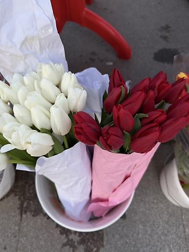 Букеты из живых цветов: Тюльпаны – свежие срезанные цветы и готовые букеты - Разнообразие — 3