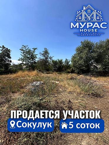 сары булун: 6 соток — 1