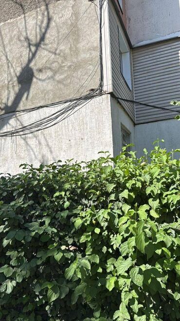 жертам квартира берилет: 3 комнаты, 58 м², 104 серия, 1 этаж, Косметический ремонт