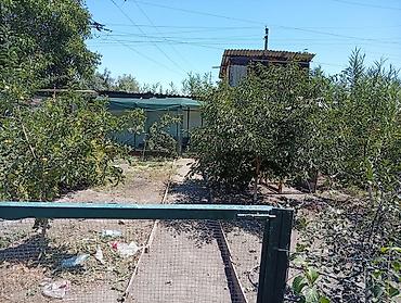 меняю на скот: Продаю 2 дома по 8 соток.район чекиш ата. можно отдельно. 1 дом с — 6