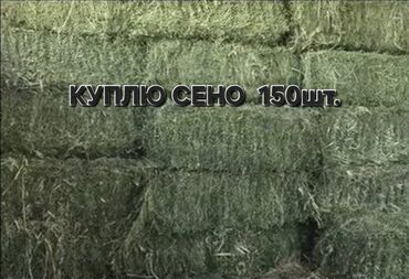 продажа домашних животных: Закуплю сено — требуются тюкованные кипы, объем партии: 150 штук