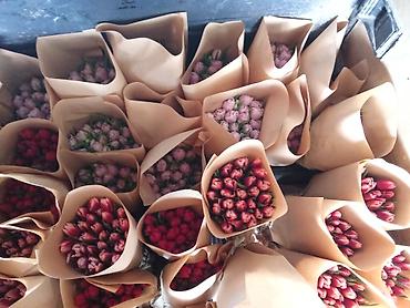 Букеты из живых цветов: Тюльпаны срезанные, сортовые, упакованные партиями. - Палитра — 11