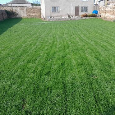 Toxumlar: Qazon çatrlma qurasdrma
#qazon
qazonsatişi
#qachon
#qazon — 4