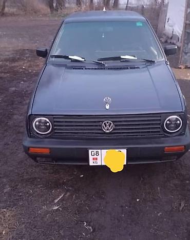 Volkswagen: Volkswagen Golf: 1989 г., 1.8 л, Механика, Бензин, Хэтчбэк — 2