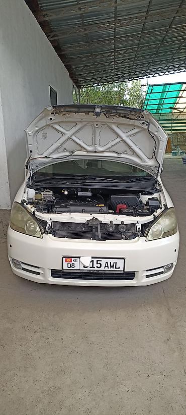 жили: Toyota Ipsum: 2002 г., 2.4 л, Автомат, Бензин, Минивэн — 3