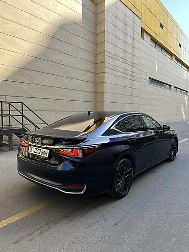 250: Lexus ES: 2021 г., 2.5 л, Автомат, Бензин, Седан — 7