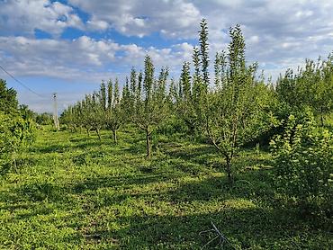 кант участок: 100 соток, Для бизнеса, Генеральная доверенность — 1