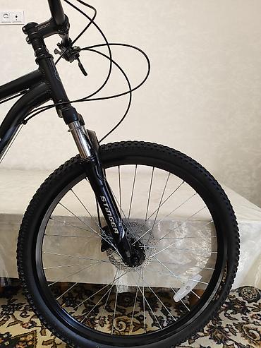 Горные велосипеды: Горный велосипед Stinger Element Hd от Российского бренда, 26 колеса — 6