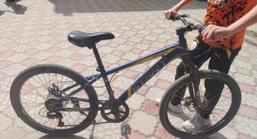 cross velosipedi: İki təkərli Uşaq velosipedi Start, 24"