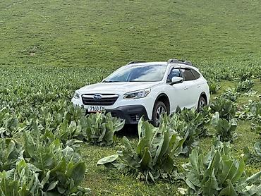 суу химия: Subaru Outback: 2020 г., 2.5 л, Вариатор, Бензин, Универсал — 2