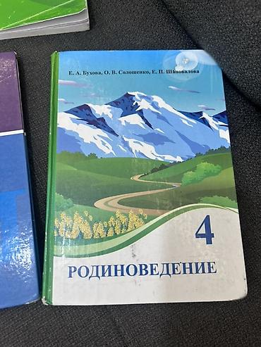 solutions elementary: Кыргызский язык, 4 класс, Новый — 6