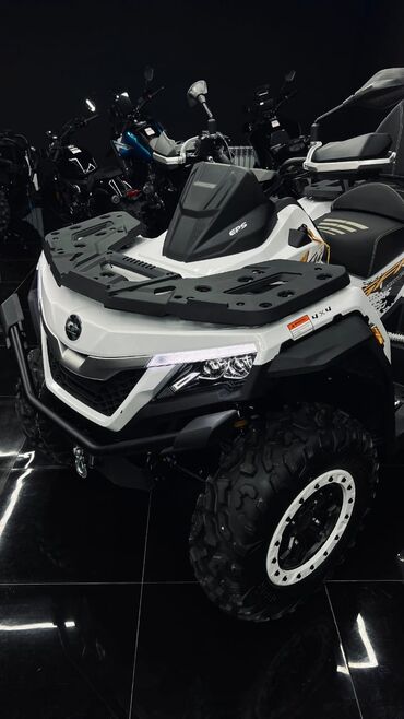 Квадроциклы: Квадроцикл Бензин, 1000 куб. см, Взрослый — 6